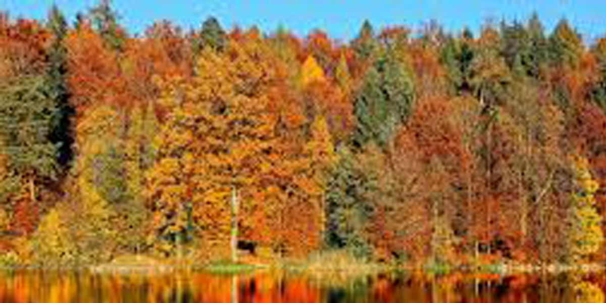 AUTOMNE3
