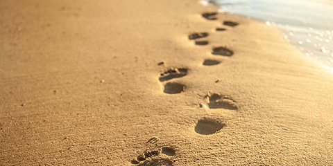pieds